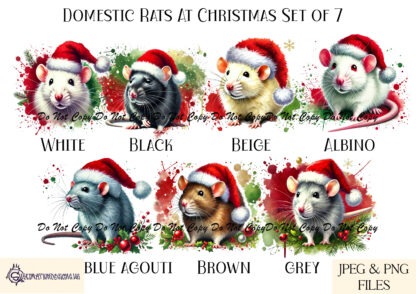 Christmas Domestic Rats Design Set featuring 7 different coloured rats wearing Santa hats, perfect for festive baubles and gifts.