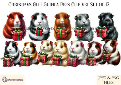 Water coloured Guinea Pigs with Christmas Gifts Clip Art Set featuring 12 festive guinea pigs in various colours, ideal for holiday décor and gift products.