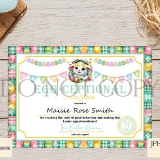 Easter Bunny Certificates featuring customisable designs for kids. Includes JPEG, PNG, and editable PSD files.